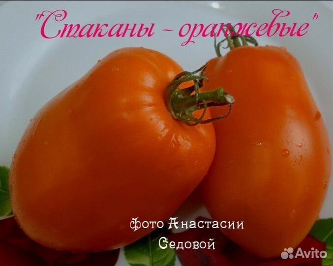 Семена томатов и перцев