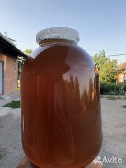 Кориандровый мёд 2023