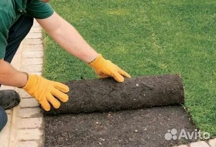 Гидропосев