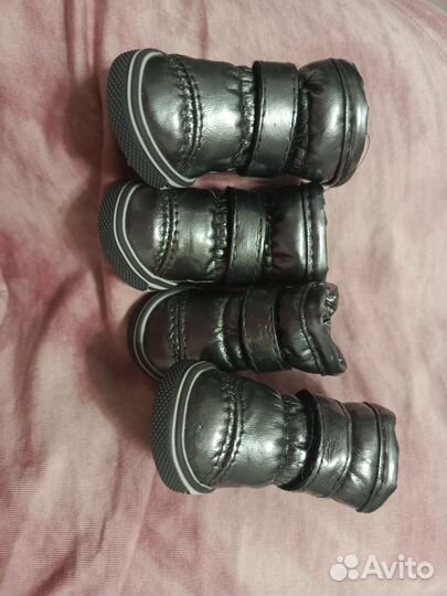 Ботинки для собак мелких пород и носочки