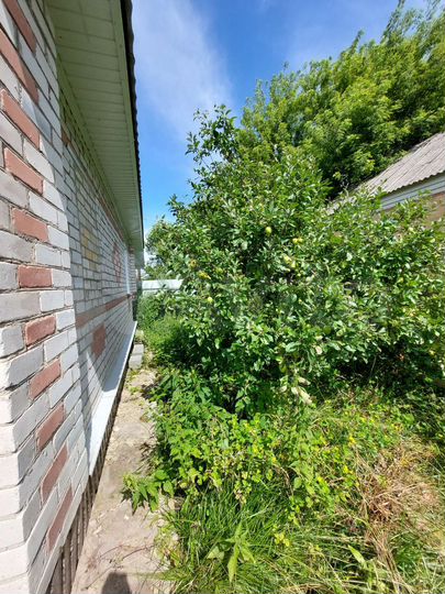 Дом 73,7 м² на участке 16 сот.