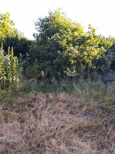 Участок 67 сот. (ИЖС)