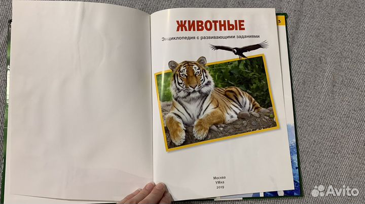 Энциклопедия Животные с развивающимися заданиями