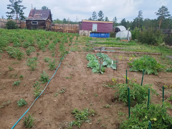 Участок 7,2 сот. (СНТ, ДНП)