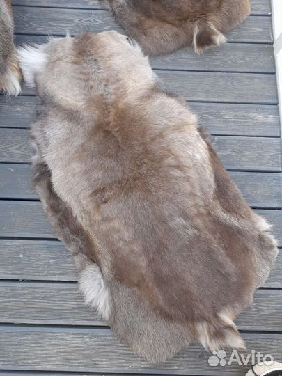 Шкура заполярного оленя выделанная