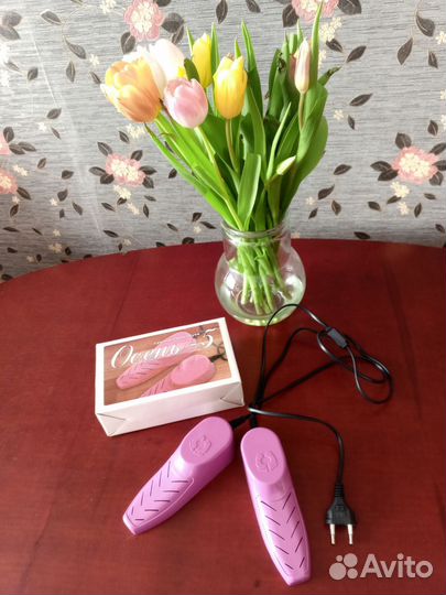 Сушилка для обуви электрическая