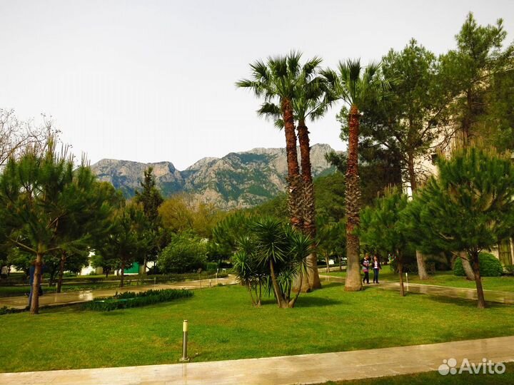 Фотоаппарат Olympus SZ-17 и Ещё Кое-Что Готовься