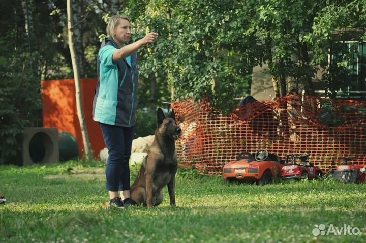 Кинолог с выездом / дрессировка собак