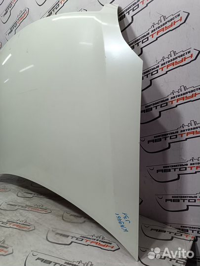 Капот nissan teana J31 PJ31 TNJ31 F51009Y0MM белый, QX1 KA9461