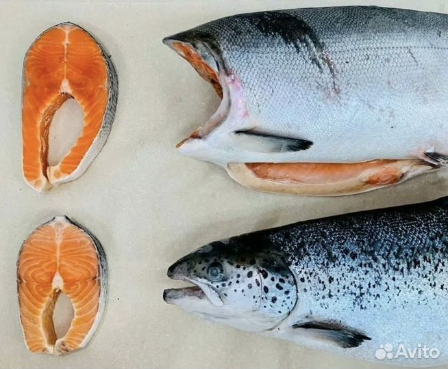 Свежая и слабосоленая рыбка к пасхе