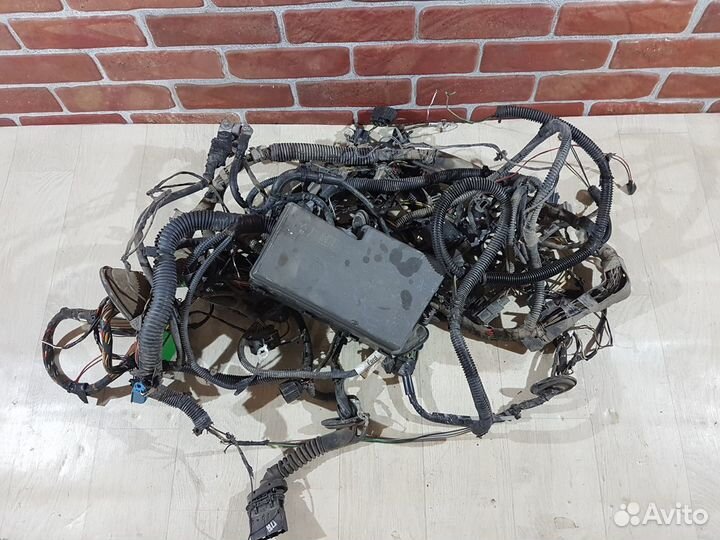 Проводка подкапотная Ford focus 2 1.4