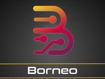 Borneo schematics