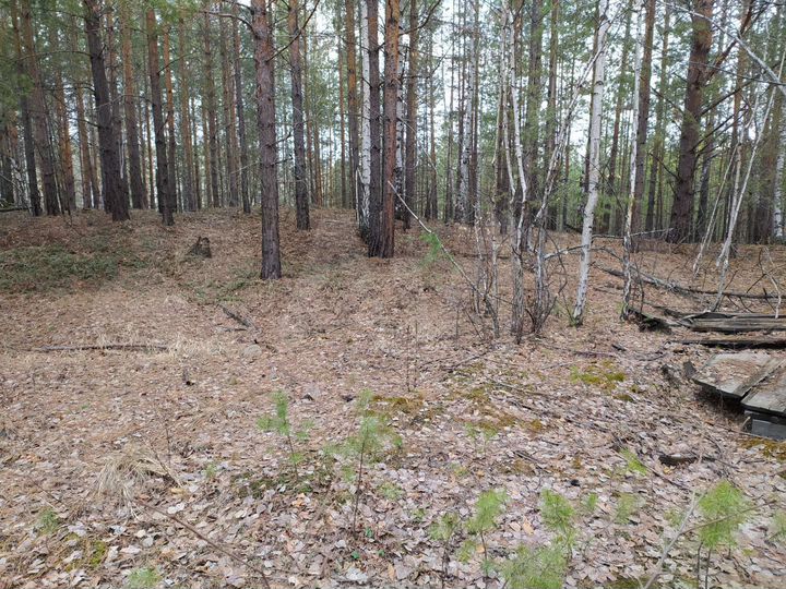 Участок 10 сот. (ИЖС)