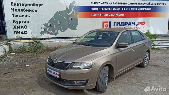 Заглушка двери задней левой Skoda Rapid 5JA839915