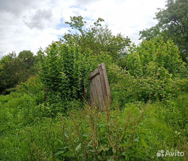 Расчистка участка