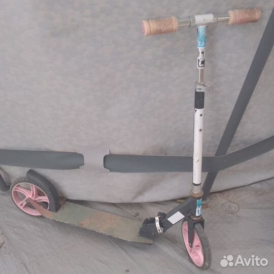 Отдам за вкусняшки