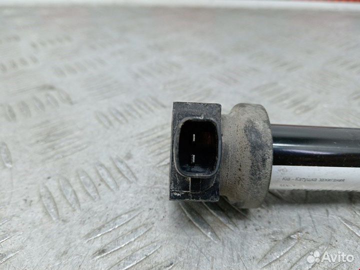 Катушка зажигания для Hyundai-KIA Carens 2 (UN)