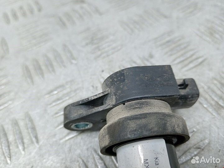 Катушка зажигания для Hyundai-KIA Carens 2 (UN)