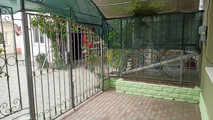 Дом 41 м² на участке 1 сот.