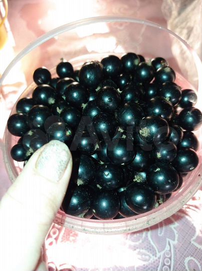 Дача 15 м² на участке 10 сот.