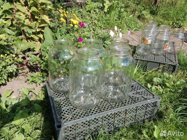 Банки стеклянные