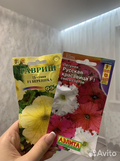 Семена цветов