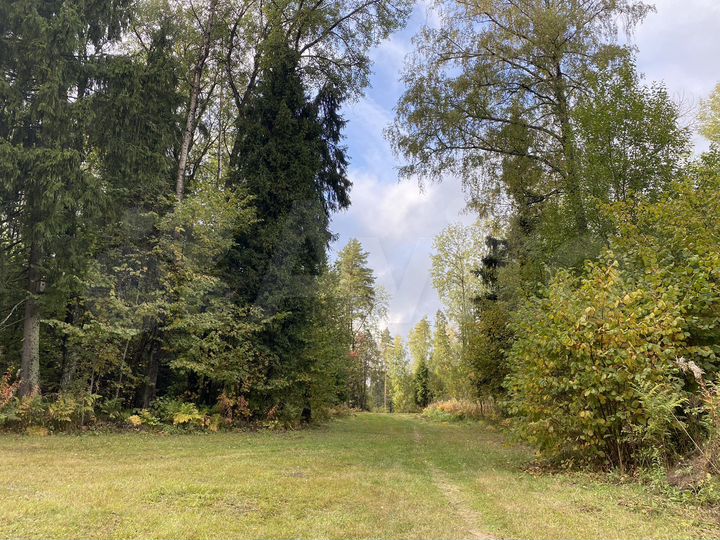 Участок 18,7 сот. (ИЖС)