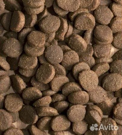 ProBalance Immuno Adult сухой для крупных пород