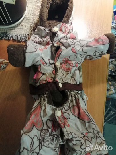 Вещи для маленьких собак