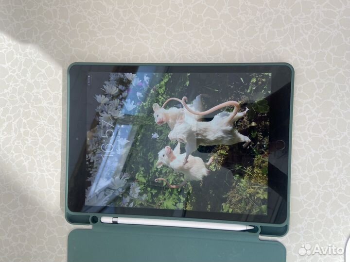 iPad 10.2