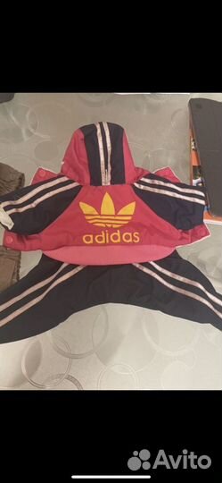 Одежда для собак мелких пород