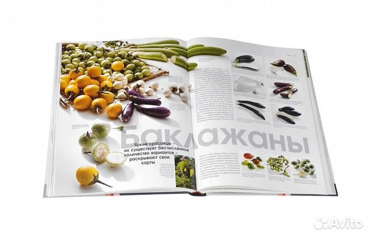 Food. Весь мир продуктов питания