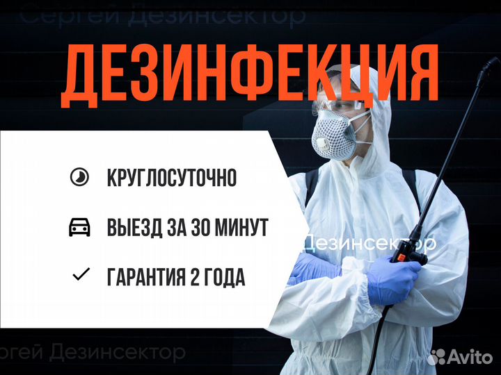 Уничтожение клопов, тараканов, грызунов, муравьев