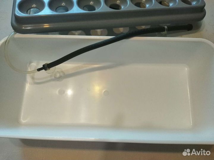 Прибор для выращивания лука 