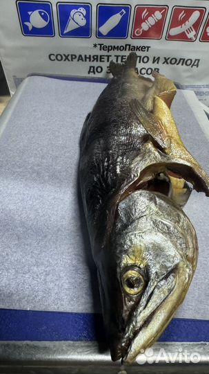 Красная рыба копченая