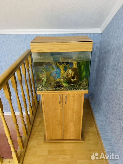 Аквариум с тумбой