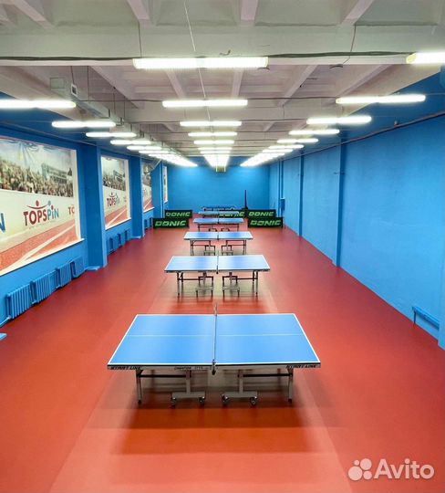 Аренда стола для настольного тенниса