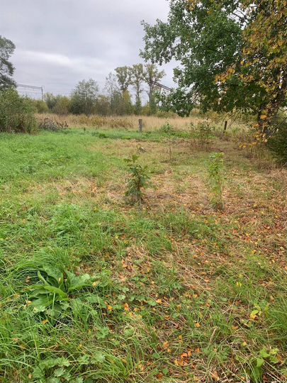 Участок 30 сот. (ИЖС)