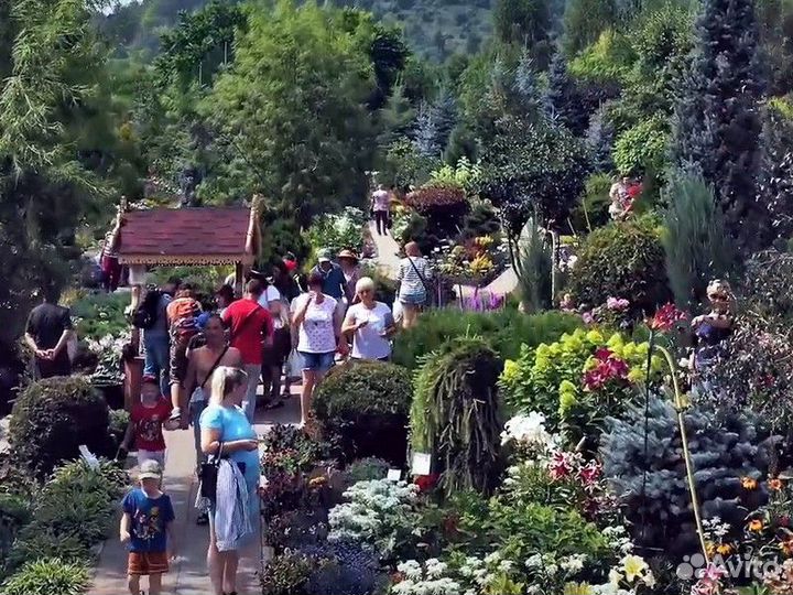 Экскурсия — Горно-Алтайск — Сказка Алтайского Холм