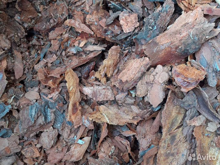 Кора Алтайского кедра (мульча)