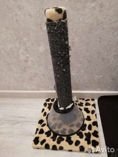 Когтеточка