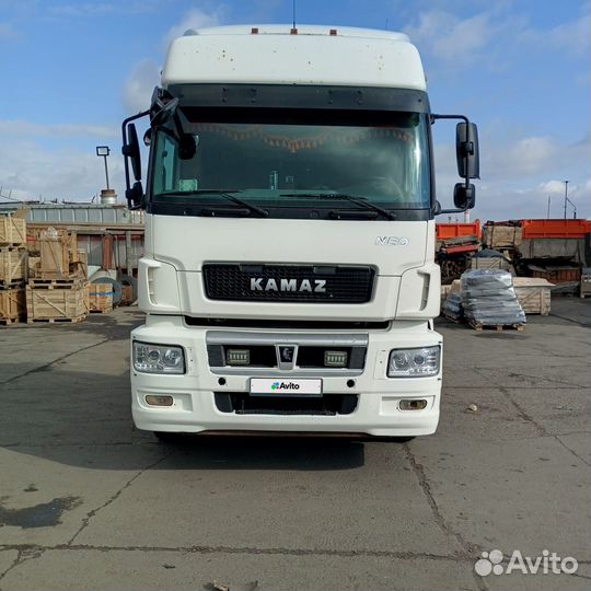 КамАЗ 5490 NEO, 2017