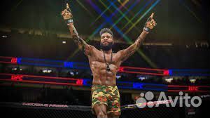 UFC 4 PS4/PS5 Калининград