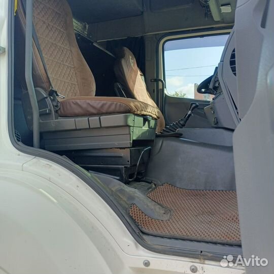 КамАЗ 5490 NEO, 2017