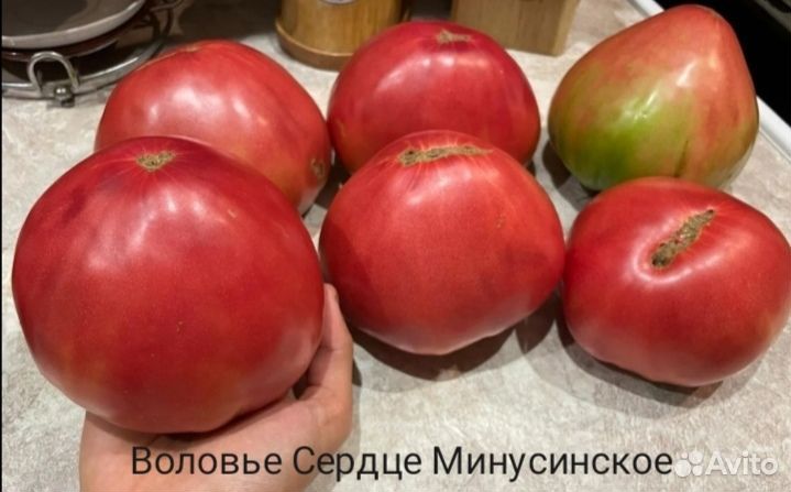 Семена томата Воловье Сердце Минусинское