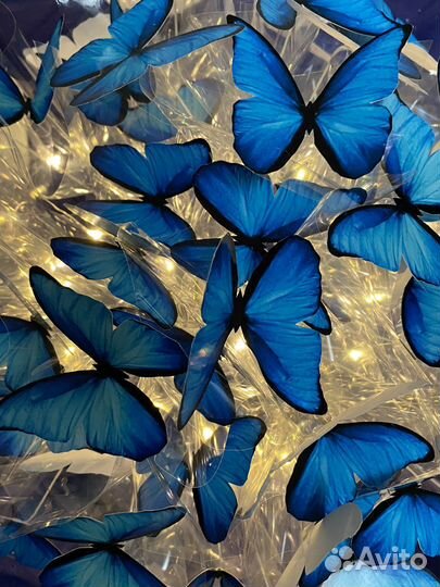 Букет из бабочек светящийся с подстветкой