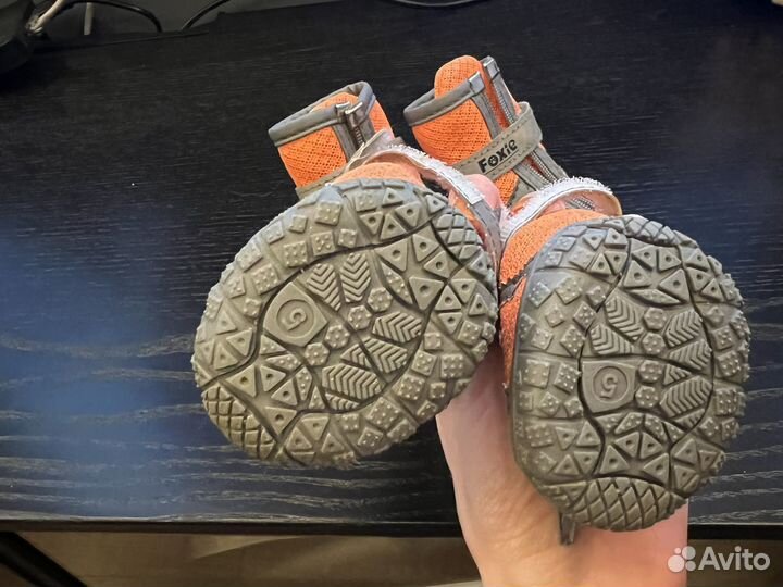 Ботинки для собак Foxie Electro XL