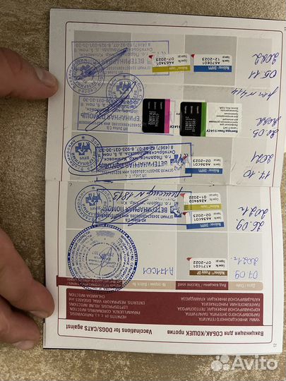 Немецкая овчарка вязка