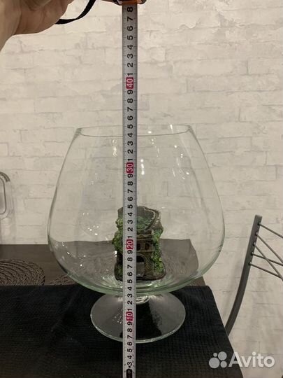 Аквариум - бокал для рыбок