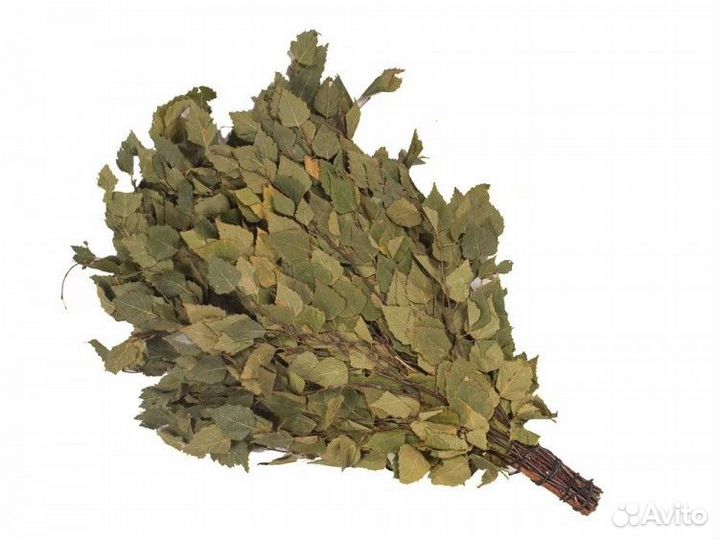 Веник березовый